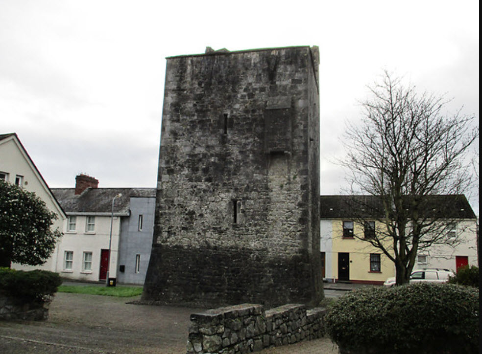Maudlin Castle, Ireland